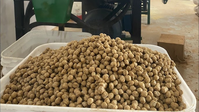 Pellets de ração extrusada para peixes